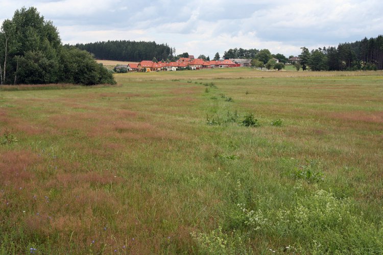 Struhy - otisk v rostlinném pokryvu