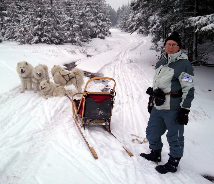 brdský mushing