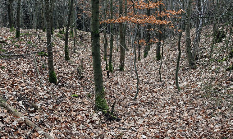 Úvozy Norimberské stezky u brodu přes Chejlavu