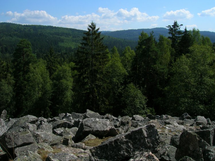 Výhled na Lipovsko a Korunu