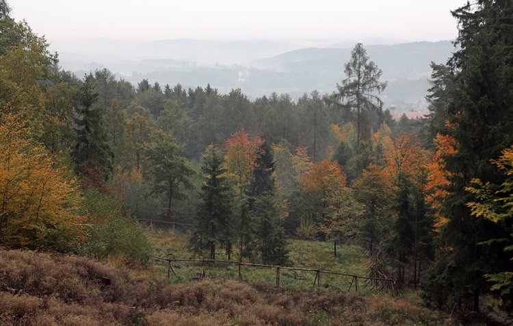 Na cestě mezi Stříbrnou Lhotou a Skalkou