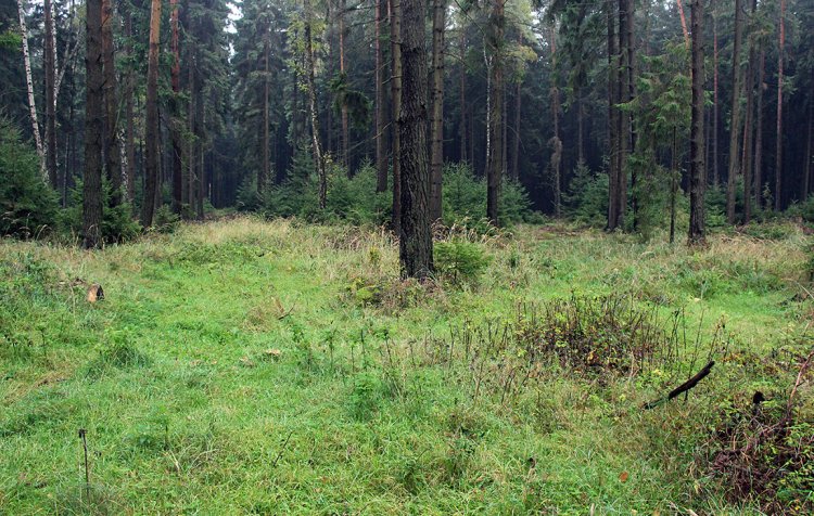 Střelecký a pozorovací průsek u objektu B-8/3/A-140