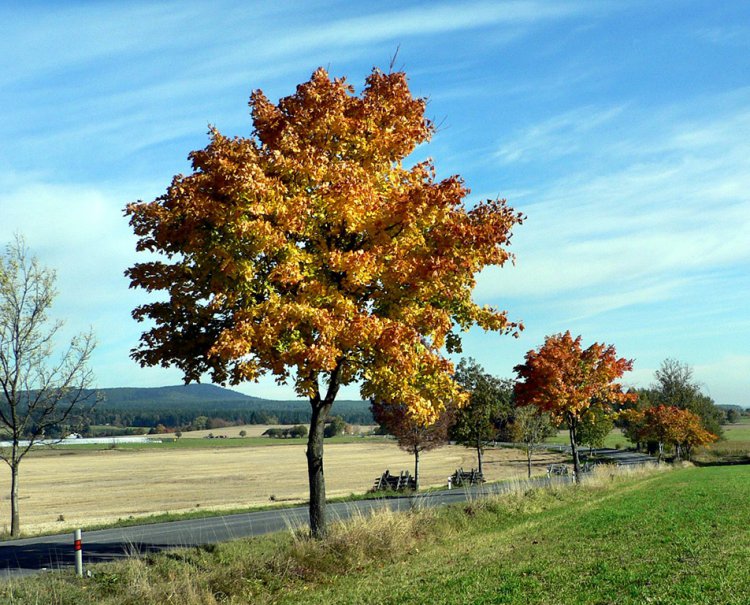 Silnice Rožmitál - Příbram