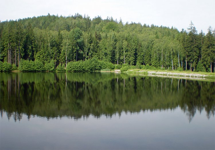 Valdek a okolí