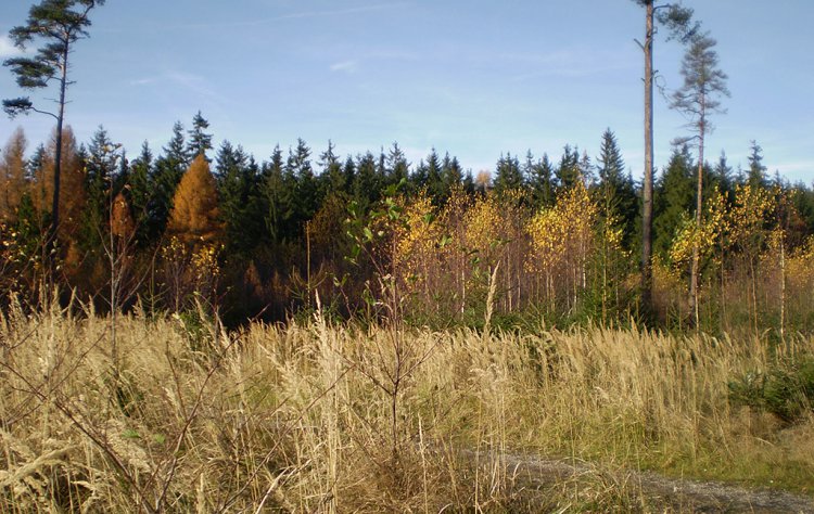 Velký a Malý Jeskřipec