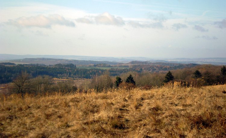 Vrch Palcíř a Kolvín