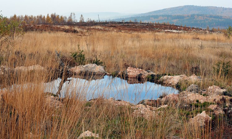 Kráter na letecké střelnici na Jordánu