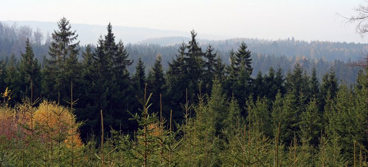 Pohled z úbočí Hlavy přibližně západním směrem