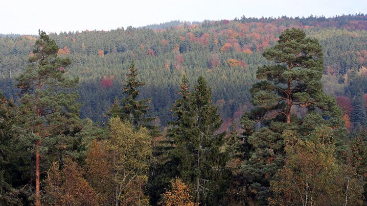 Výhled ze skály nad Třítrubeckým zámečkem