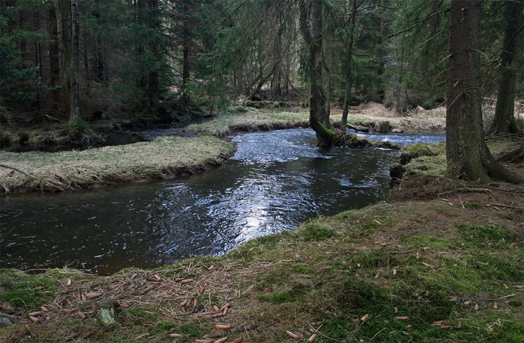 Padrťský potok alias Klabava kousek pod pláněmi