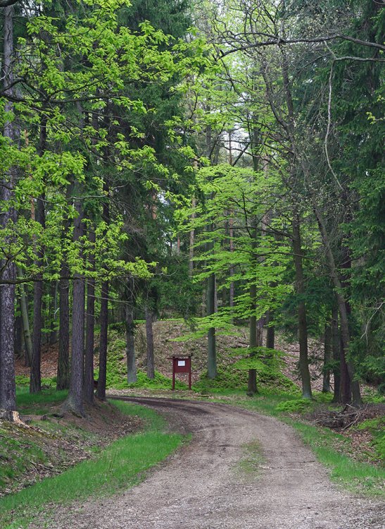 Pod Žďárem, rozcestí 