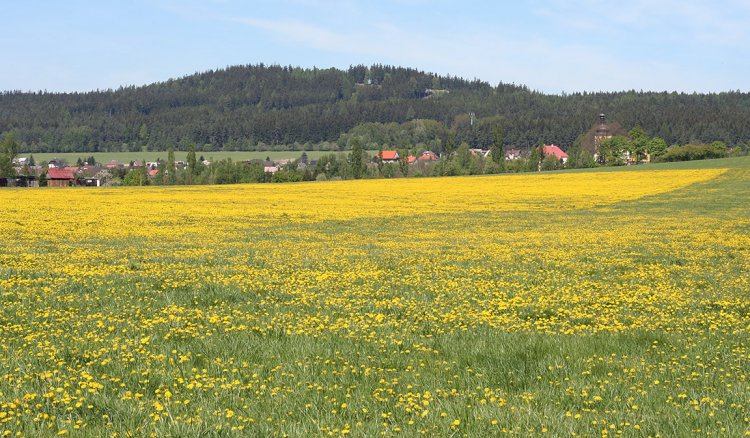 Strašice s kostelem Sv. Vavřince, v pozadí Bábovka