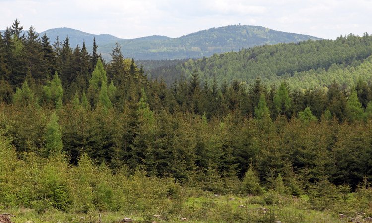 Pohled z úbočí Jeskřipce na vrch Písky