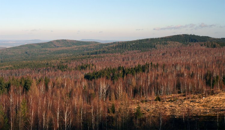 Beranec, Stará Baština