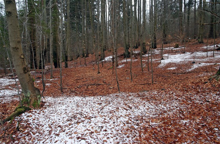 Milíř úctyhodného průměru (okolo 15m)