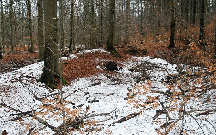 Výrazná protržená hráz, rovněž přímo na potoce, nejvýše položený prvek kaskády