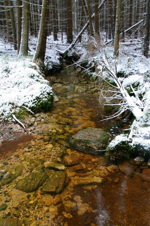 Brdské sedmsetpadesátky 2007