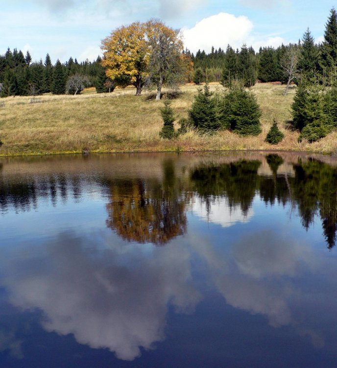 borské zrcadlo