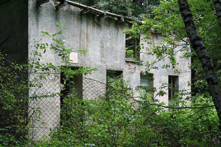 PZH neboli pomocné zemědělské hospodářství neboli prasečí chlívek