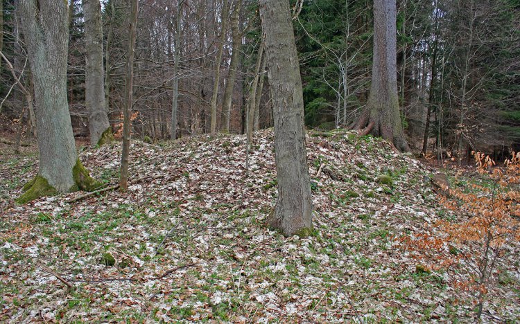 Pozůstatky menší zděné stavby v blízkosti kostela, možná zvonice.